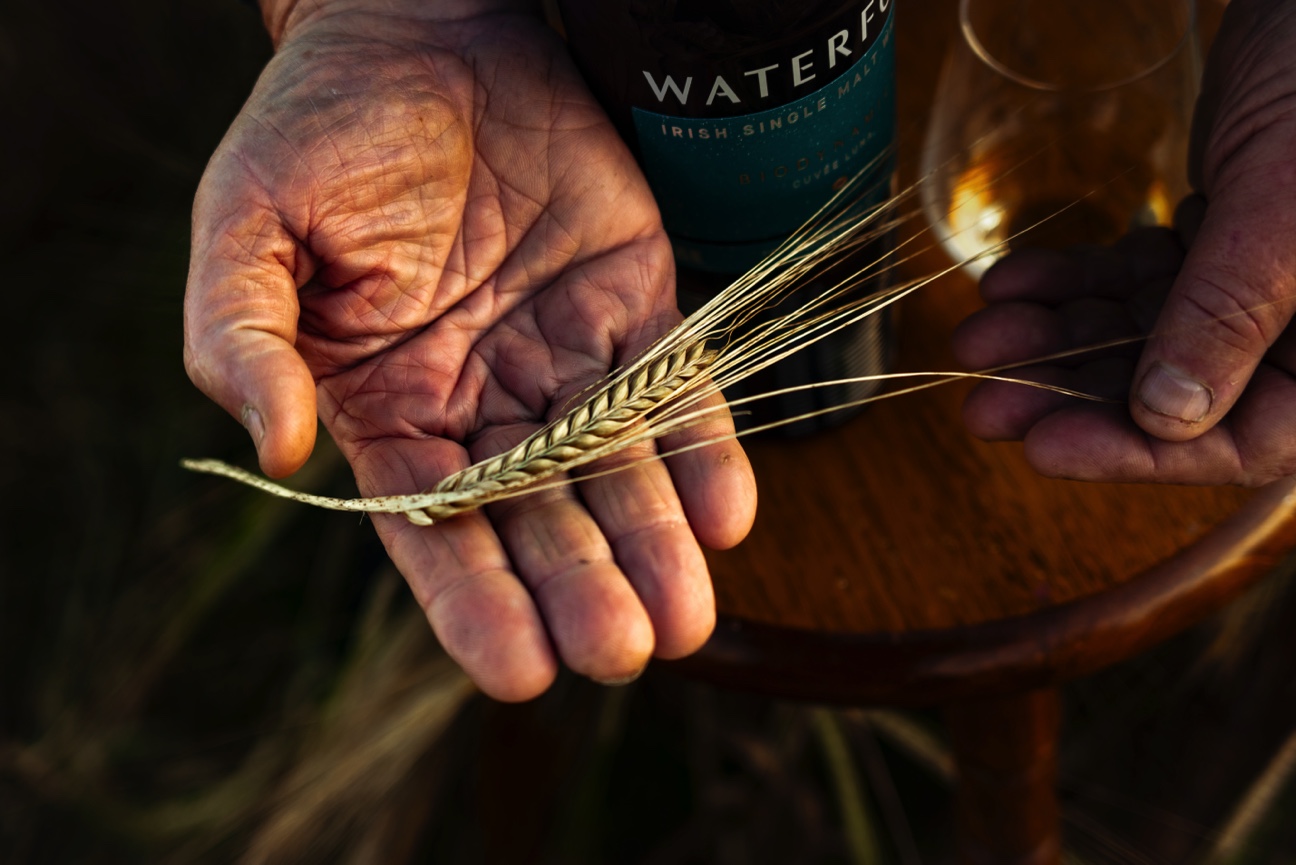 Biodynamic barley